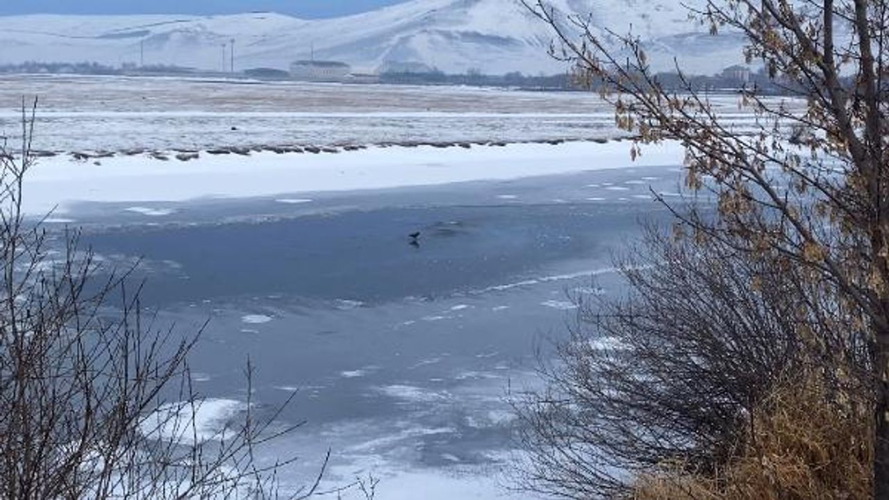 Ardahan'da Kura Nehri buz tuttu