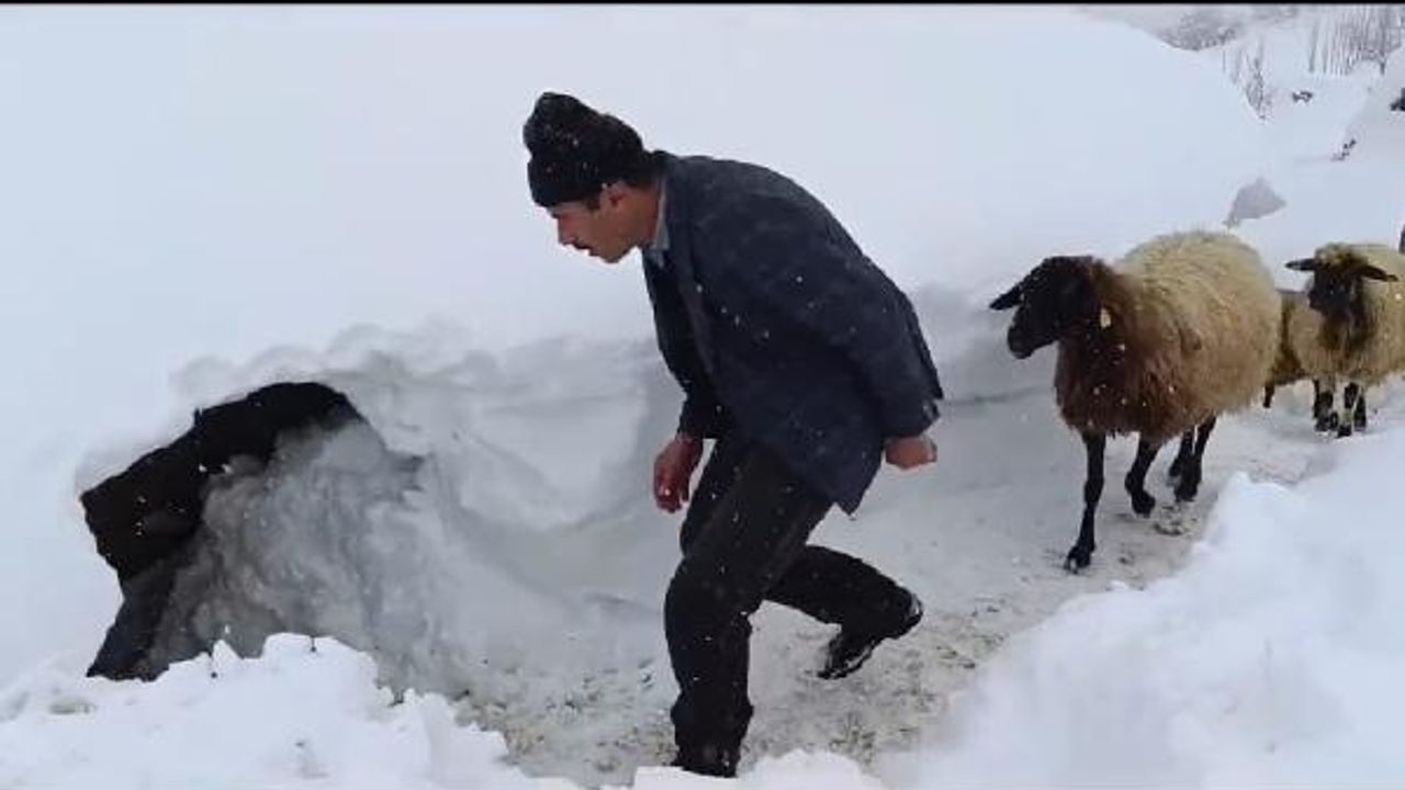 Van'ın yükseklerinde kar kalınlığı 1 metreyi aştı