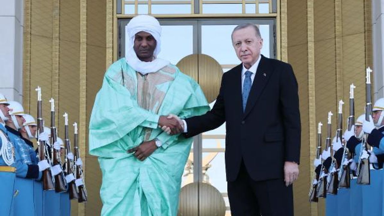 Erdoğan, Nijer Başbakanı Ali Mahamane Lamine kabul etti