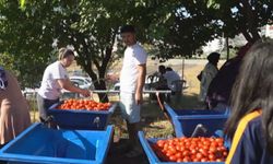 Kayseri Melikgazi'de Salça Kaynatma Günleri başladı