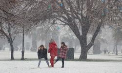 Gaziantep'e mevsimin ilk karı yağdı