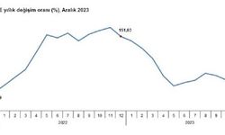 Tarımda üretici enflasyonu yüzde 52,66 oldu