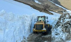 Van'da kapalı tutulan yol 5 ay sonra açıldı