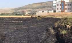 Hatay'da yangında 77 dönüm ekili alan zarar gördü