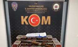 Yalova'da 'Türkiye vatandaşlığı' vaadiyle dolandırıcılığa: 1 tutuklama