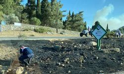 Çanakkale'de makilikte çıkan yangın, antik kente sıçradı