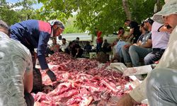 HAKKARİ Yüksekova'da kurban etleri toplanıp, herkese eşit dağıtılıyor