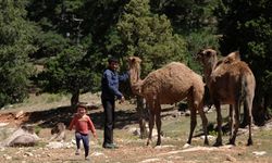 Sarıkeçili Yörükleri, Toros Dağları’nda