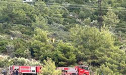 Bodrum’da ormanda çıkan korkutan yangın büyümeden söndürüldü