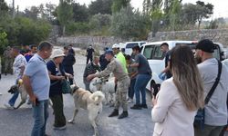 İzmir'de orman yangını; 2 mahalle boşaltıldı