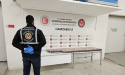 Hamzabeyli Gümrük Kapısı'nda uyuşturucu operasyonu